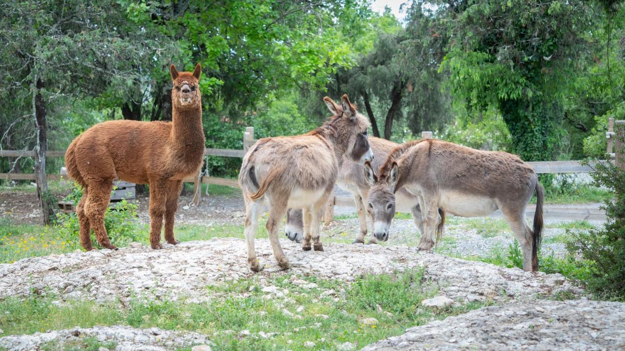 ווג Roulottes Et Cabanes De Saint Cerice מראה חיצוני תמונה
